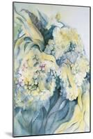 Hydrangea Particulata-Karen Armitage-Mounted Giclee Print