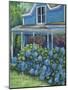 Hydrangea Riot-Marnie Bourque-Mounted Giclee Print