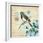 Hydrangea Songbird No. 5-Christopher James-Framed Art Print