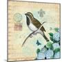 Hydrangea Songbird No. 5-Christopher James-Mounted Art Print