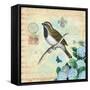 Hydrangea Songbird No. 5-Christopher James-Framed Stretched Canvas
