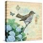 Hydrangea Songbird No. 8-Christopher James-Stretched Canvas