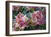 Hydrangea Sp-Dr. Keith Wheeler-Framed Photographic Print