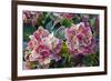 Hydrangea Sp-Dr. Keith Wheeler-Framed Photographic Print