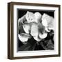 Hydrangea-Darlene Shiels-Framed Art Print