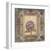 Hydrangea-Mindeli-Framed Giclee Print