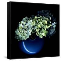 Hydrangea-Magda Indigo-Framed Stretched Canvas