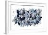 Hydrangea-HR-FM-Framed Art Print