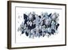 Hydrangea-HR-FM-Framed Art Print