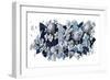 Hydrangea-HR-FM-Framed Art Print