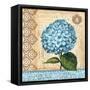 Hydrangea-Gregory Gorham-Framed Stretched Canvas