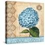 Hydrangea-Gregory Gorham-Stretched Canvas