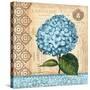 Hydrangea-Gregory Gorham-Stretched Canvas