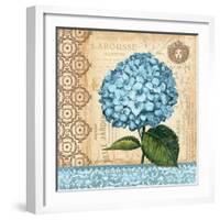 Hydrangea-Gregory Gorham-Framed Art Print