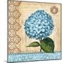 Hydrangea-Gregory Gorham-Mounted Art Print