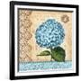 Hydrangea-Gregory Gorham-Framed Art Print