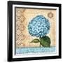 Hydrangea-Gregory Gorham-Framed Art Print