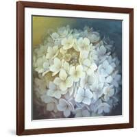 Hydrangea-Lisa Audit-Framed Giclee Print