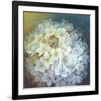 Hydrangea-Lisa Audit-Framed Giclee Print