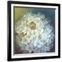 Hydrangea-Lisa Audit-Framed Giclee Print