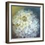 Hydrangea-Lisa Audit-Framed Giclee Print