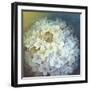 Hydrangea-Lisa Audit-Framed Giclee Print