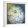 Hydrangea-Lisa Audit-Framed Giclee Print