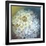 Hydrangea-Lisa Audit-Framed Giclee Print