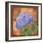 Hydrangea-Fiona Stokes-Gilbert-Framed Giclee Print