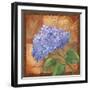 Hydrangea-Fiona Stokes-Gilbert-Framed Giclee Print