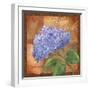 Hydrangea-Fiona Stokes-Gilbert-Framed Giclee Print