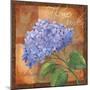 Hydrangea-Fiona Stokes-Gilbert-Mounted Giclee Print