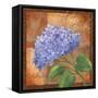 Hydrangea-Fiona Stokes-Gilbert-Framed Stretched Canvas