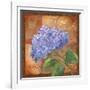 Hydrangea-Fiona Stokes-Gilbert-Framed Giclee Print