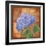 Hydrangea-Fiona Stokes-Gilbert-Framed Giclee Print