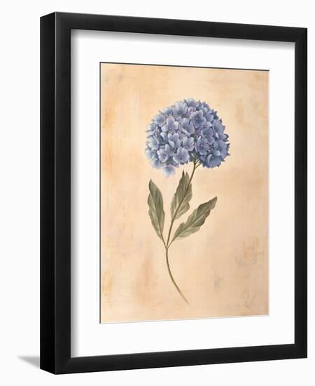 Hydrangea-Virginia Huntington-Framed Art Print