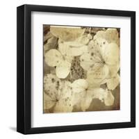 Hydrangeas 1-Dawne Polis-Framed Art Print