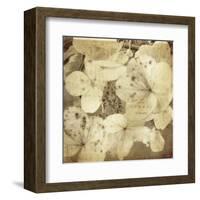 Hydrangeas 1-Dawne Polis-Framed Art Print