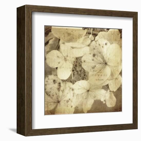 Hydrangeas 1-Dawne Polis-Framed Art Print