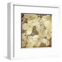 Hydrangeas 1-Dawne Polis-Framed Art Print