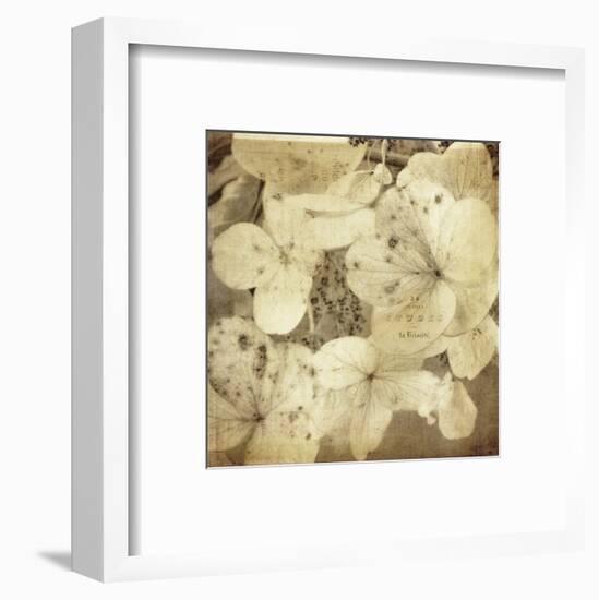 Hydrangeas 1-Dawne Polis-Framed Art Print