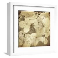 Hydrangeas 1-Dawne Polis-Framed Art Print