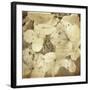 Hydrangeas 1-Dawne Polis-Framed Art Print