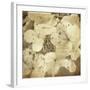 Hydrangeas 1-Dawne Polis-Framed Art Print