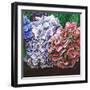 Hydrangeas, 2010-Helen White-Framed Giclee Print