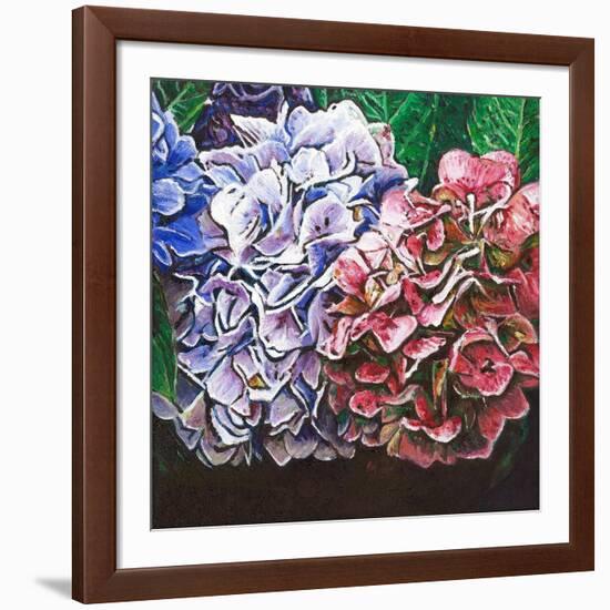 Hydrangeas, 2010-Helen White-Framed Giclee Print