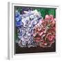 Hydrangeas, 2010,-Helen White-Framed Giclee Print