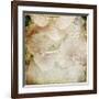 Hydrangeas 4-Dawne Polis-Framed Giclee Print