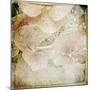 Hydrangeas 4-Dawne Polis-Mounted Giclee Print