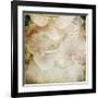 Hydrangeas 4-Dawne Polis-Framed Giclee Print